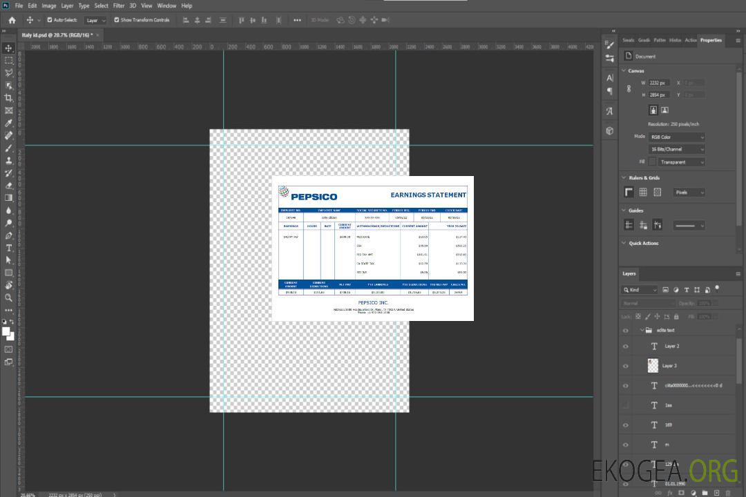 Talon de salaire d'une entreprise productrice de boissons aux États-Unis, Pepsico Inc. template Talon de salaire d'une entreprise productrice de boissons aux États-Unis, Pepsico Inc. template